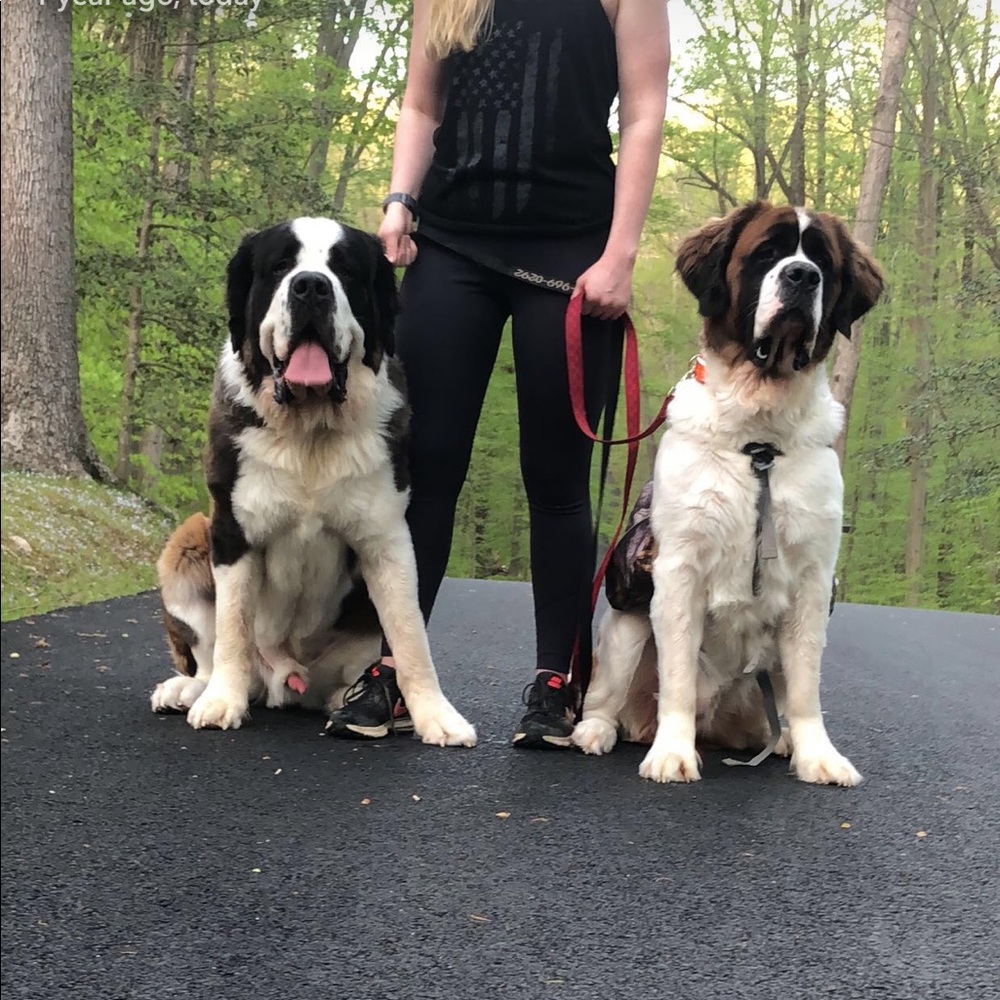 Meet your Posher, Ashleigh